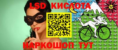 гидропоника Пенза