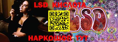 гидропоника Пенза