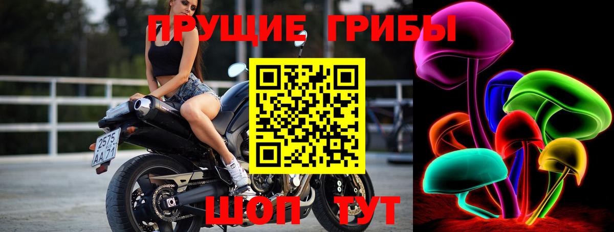 Северск  купить   Вход с VPN  Псилоцибиновые грибы Psilocybe 